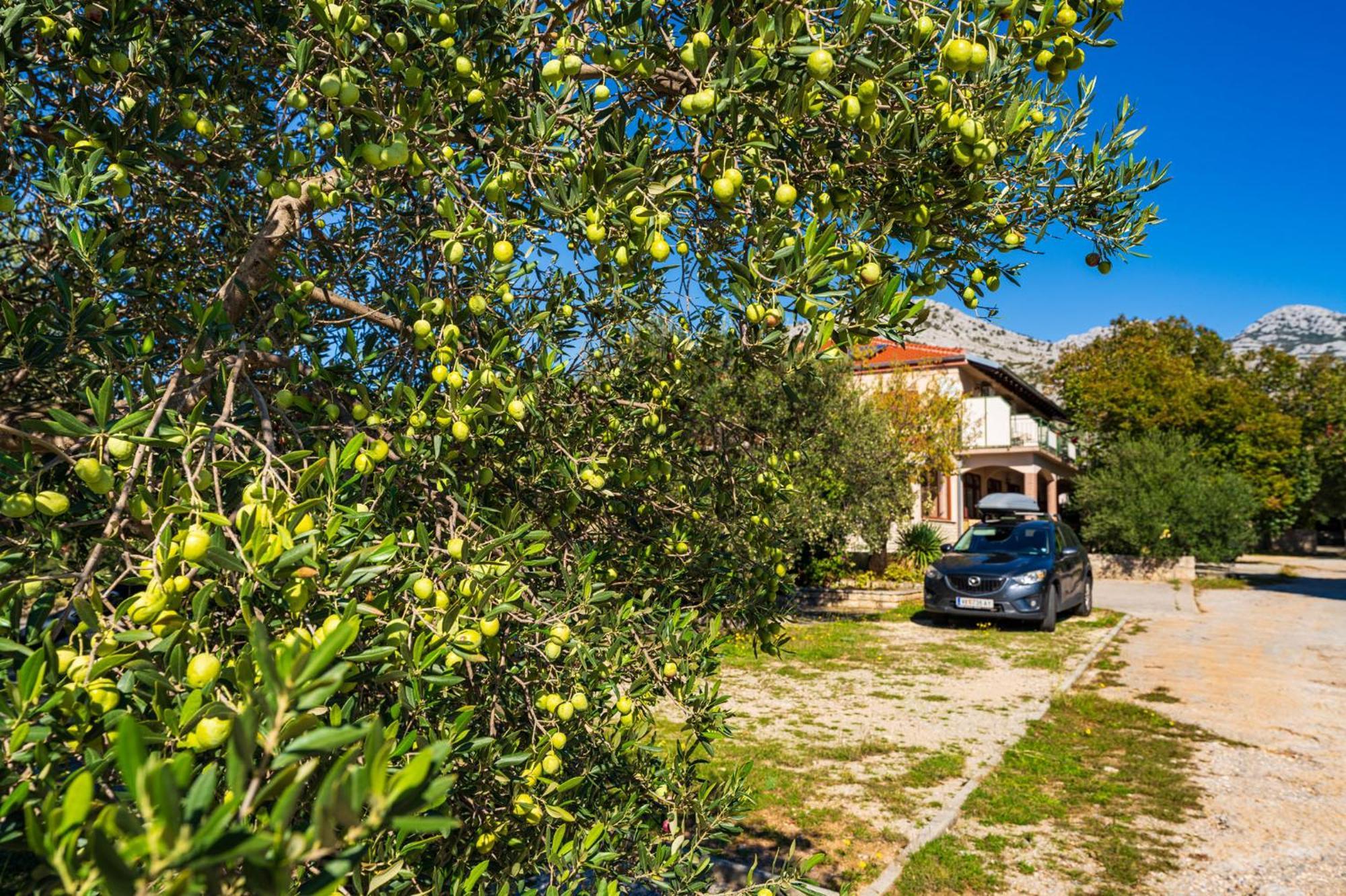 Apartments Adriana Stari Grad Kültér fotó